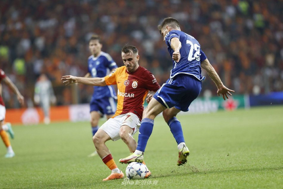 己赢得了 己赢得了